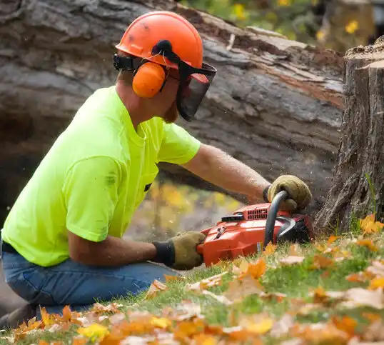 tree services Peachland